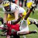 Michigan offensive linesman Michael Schofield competes with Ohio State defensive back Travis Howard for a loose ball in the second half on Saturday. Daniel Brenner I AnnArbor.com